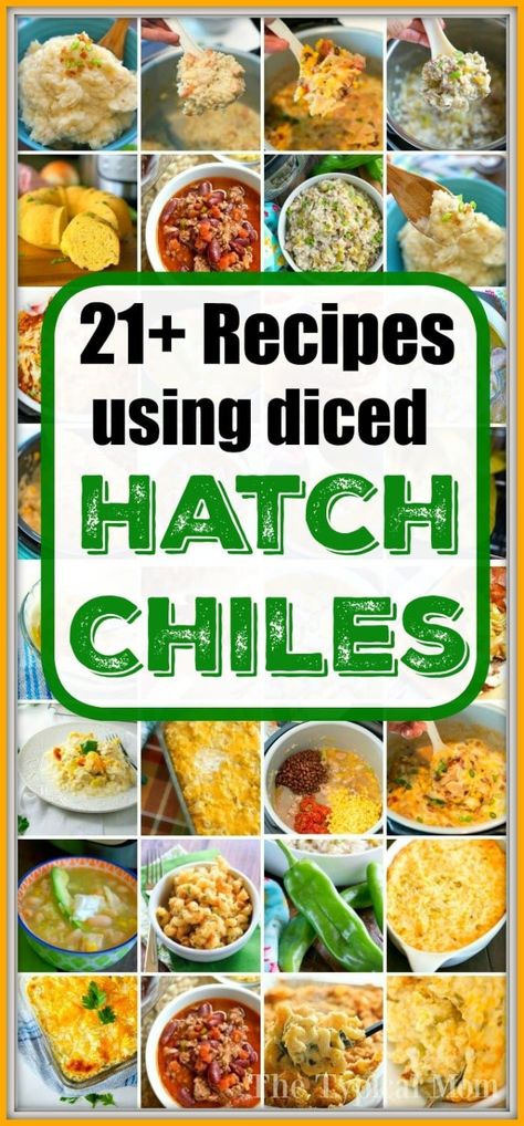 Lots of hatch green chile recipes your family will love! Using fresh or canned hatch chiles we will share casseroles, dinners and side dishes here. Hatch Chiles Recipes, Hatch Pepper Recipes, Hatch Green Chile Recipes, Casseroles Dinners, Hatch Green Chili Recipe, Creamed Corn Casserole Recipe, Hatch Chili Recipes, Hatch Peppers, Hatch Chile Recipes