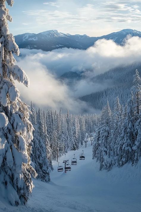 "❄️🏞️ Experience the magic of a winter wonderland in Whistler, Canada! From powdery snow to cozy lodges, discover everything you need for the perfect snowy escape. Swipe for your next snowy adventure! ⛷️🌨️ #Whistler #WinterWonderland #SnowFun" Whistler Aesthetic, Vancouver Canada Winter, Whistler Canada Winter, Whistler Winter, Canada Whistler, Winter In Canada, Canada Aesthetic, Winter Canada, Animals In Winter