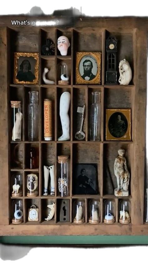 Dark Academia Room Ideas, Oddities Collection, Oddities Decor, Harry Potter Room Decor, Instagram Posting, Curio Shelf, Taxidermy Art, Vulture Culture, Goblin Core