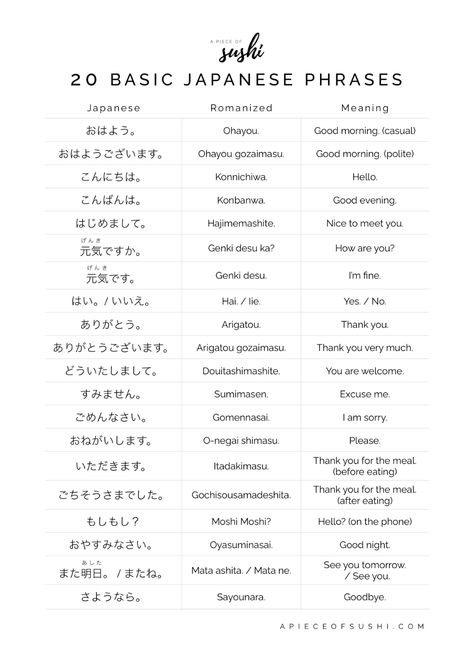 20 Basic Japanese Phrases for Beginners + Free Printable PDF + Audio Hiragana Words Japanese Phrases, Japanese Words For Beginners, Japanese Notes For Beginners, Hiragana Phrases, Gambare Gambare In Japanese, Japan Phrases Words, Katakana Words Japanese Phrases, Japanese Words Learning Basic, Basic Japanese Words And Phrases