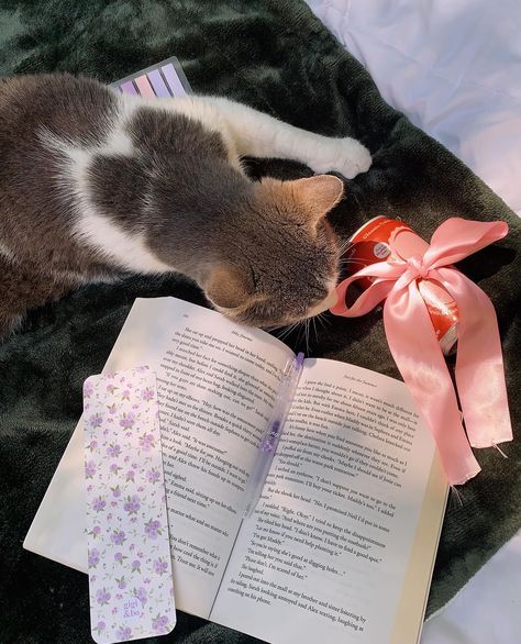 outdoor reading season featuring this adorable bookmark🪻🐈‍⬛🌤️ i’m so excited to officially announce that i am apart of the @gigiandbo brand rep team this summer!! i am so grateful for this opportunity & i wanted to thank you guys sooo much for all your support for this account 🥹💖. ✨ you can use my code ALYSSA10 at checkout to save on your next purchase ✨ i truly can’t wait to share more with you guys & support her adorable business 🫶🏼🫶🏼🫶🏼 also this is my cat rajah 🐈‍⬛. don’t be fooled b... Alyssa Season, Outdoor Reading, I Am So Grateful, So Grateful, I Am Grateful, Pinterest Board, My Cat, The Fool, So Excited