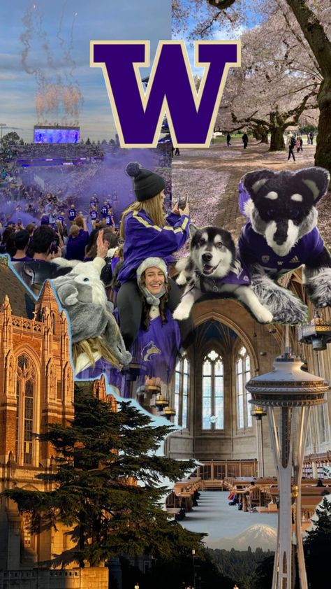 go huskies 🐾 Washington Wallpaper, Uw Huskies, Vienna Waits For You, Seattle University, Dream College, Uni Life, Washington Huskies, University Of Washington, Billy Joel