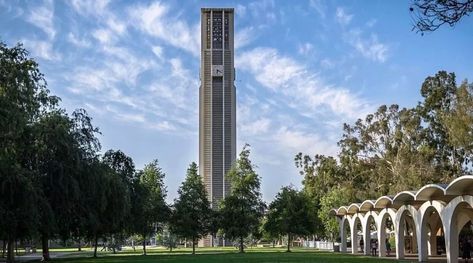 UC Riverside Packing List | Move In Day - Humans of University Uc Riverside, Move In Day, Art School Supplies, Folder Organization, Shower Shoes, College Tips, Photo Clips, Cinder Block, Grad Photos