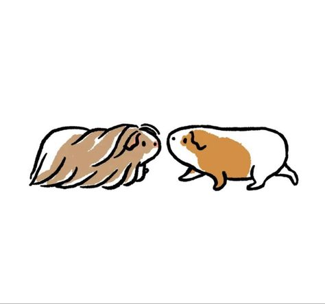 Cartoon Guinea Pigs, Guinea Pig Tattoo, Guinea Pig Drawing, Pig Drawing Easy, Guinea Pig Illustration, Pig Outline, Guinnea Pig, Darkside Tattoo, Pig Sketch