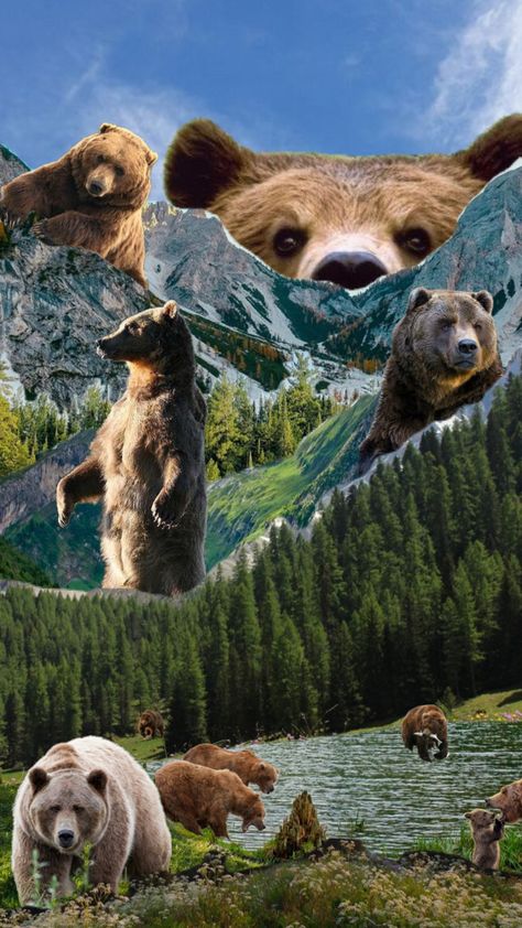 #nature #bear #brownbear #camping #hiking #outdoors #nationalparks #collage #inspo #wallpaper #collageart #shufflefyp #fyp #popular #inspo #aesthetic #vibes Wildlife Collage Art, Bear Background Aesthetic, Zoology Aesthetic Wallpaper, Animal Collage Wallpaper, Aesthetic Bear Wallpaper, Granola Aesthetic Wallpaper, Mountains Collage, Bear Wallpaper Aesthetic, Bear Aesthetic Wallpaper