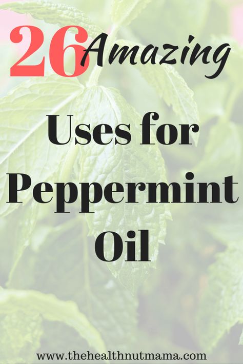 Benefits Of Peppermint Oil, Benefits Of Peppermint, Peppermint Oil Uses, Peppermint Oil Benefits, Get Rid Of Spiders, How To Relieve Headaches, Essential Oil Benefits, Aip Paleo, Joints Pain Relief