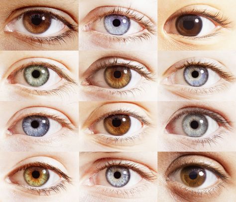 If you have blue eyes, they're actually brown and you just don't realise it - CosmopolitanUK Rare Eye Colors, Eye Color Chart, Rare Eyes, Change Your Eye Color, Eye Facts, Alluka Zoldyck, Blue Green Eyes, Types Of Eyes, Extreme Close Up