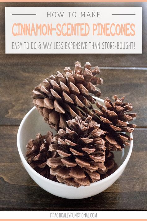 Two easy ways to make cinnamon scented pinecones for your fall home decor this year! This easy fall craft is a great way to add that yummy fall cinnamon scent to your home this season! Cinnamon Scented Pinecones, Pinecones Ideas, Paint Pinecones, Cinnamon Pinecones, Scented Pine Cones, Cinnamon Scent, Diy Cinnamon, Scented Pinecones, Pinecone Crafts