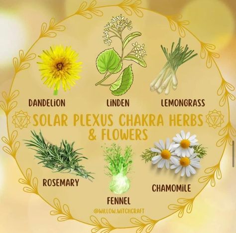 Chakra Health, Winter Wellness, Skin Advice, Kitchen Witchery, Witch Spell Book, Herbal Healing, Herbs For Health, Solar Plexus Chakra, Healing Herbs