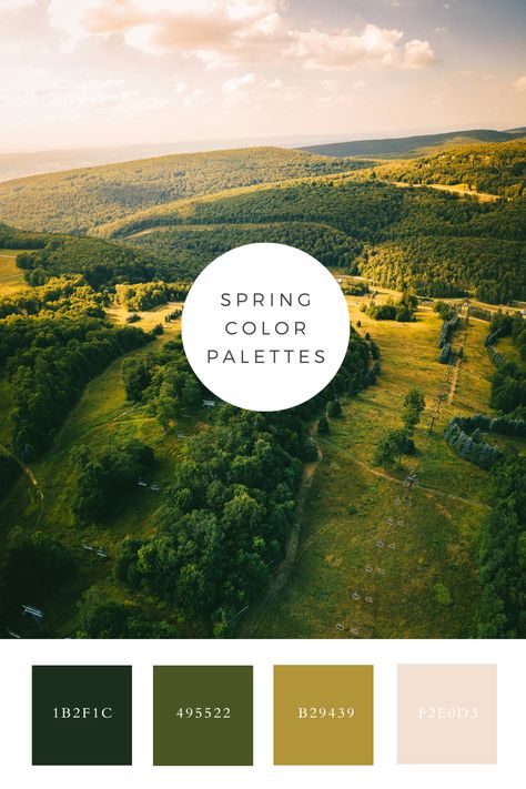 An aerial view of rolling hills covered in dense forests and open fields, showcasing a green spring color palette. The vibrant greens of the trees and grass are highlighted by the warm sunlight, creating a lively and fresh atmosphere. Color Generator, Flip Image, Blur Image, Pastel Color Palette, Spring Color Palette, Green Pastel, Green Colour Palette, Color Picker, Green Spring