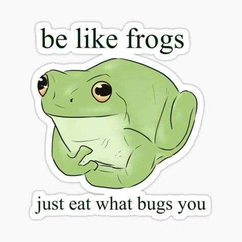 Kind Aesthetic, Frog Quotes, Frog Meme, Funny Day Quotes, Charming Quotes, Cross Stitch Quotes, Frog Drawing, Super Funny Quotes, Bee And Puppycat