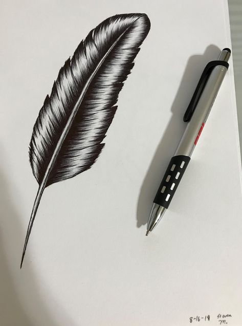 My Drawing of a Feather with a black ball point pen Pointed Pen, Book Art Drawings, Pen Drawing, Ink Drawing, A Black, Book Art, Piercings, Art Drawings, Pen