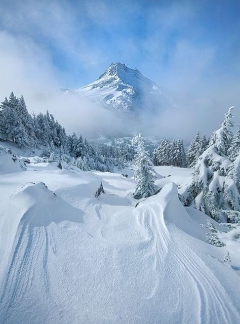 Beautiful Snow, I Love Snow, Winter Schnee, Winter Szenen, Beautiful Places On Earth, Winter Magic, Winter Scenery, Snow Mountain, Winter Beauty