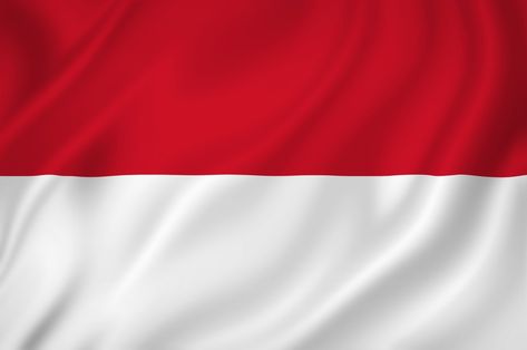 Lagu 'Indonesia Raya' dari Anak Pedalaman Mentawai Indonesian Flag, Hd Flower Wallpaper, Printable Lined Paper, Wallpaper Cantik Iphone, Nature Iphone Wallpaper, Logo Design Set, 17 Agustus, East Indies, Hd Wallpapers For Mobile