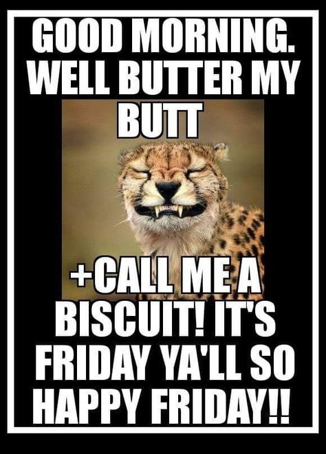 Happy Friday Humour, Good Morning Animals, Tgif Funny, Friday Funny, Happy Day Quotes, Funny Day Quotes, Good Morning Funny Pictures, Good Morning Sweetheart Quotes, Friday Quotes Funny