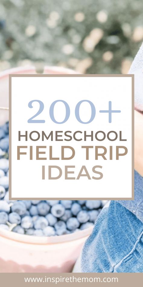 200 Homeschool Field Trip Ideas - Inspire the Mom Montessori, Homeschool Field Trip Ideas, Field Trip Ideas, Homeschool Field Trips, Homeschool Preschool Activities, Homeschool Education, Homeschool Inspiration, Homeschool Schedule, Homeschool Learning