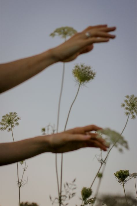 White Sheet Field Photoshoot, Outside Nature Photoshoot Ideas, Unique Field Photoshoot, Creative Field Photoshoot, Photoshoot In Grassy Field, Grass Aesthetic Photoshoot, Photoshoots In Nature, White Rock Lake Dallas, Dreamy Field Photoshoot