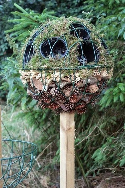 Diy Insect Hotel, Bug Habitat, Garden Objects, Ball Topiary, Insect Hotel, Garden Activities, Bug Hotel, Bird Sanctuary, Garden Insects