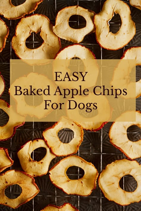 Apple Recipes For Dogs, Dog Friendly Food Recipes, Apple Dog Treats Homemade, Diy Apples, Long Lasting Dog Treats Homemade, Apples For Dogs, Apple Dog Treats, Cinnamon Bake, Baked Apple Chips