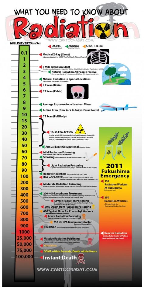 Radiation Poster Physics Facts, Physics Lessons, Physics Classroom, Trading For Beginners, Nuclear Medicine, Currency Trading, Information Poster, Nuclear Energy, Physics And Mathematics