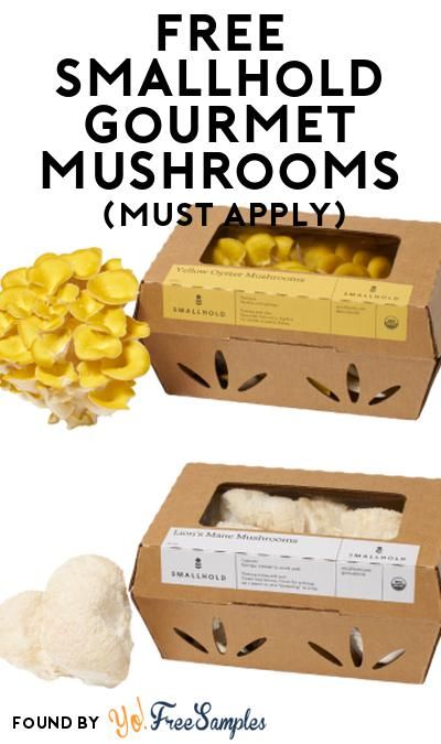 FREE Smallhold Gourmet Mushrooms At Social Nature (Must Apply) https://yofreesamples.com/food-samples/free-smallhold-gourmet-mushrooms-at-social-nature-must-apply/ Mushroom Business, Mushroom Packaging, Gourmet Mushrooms, Food Samples, Mushroom Cultivation, Grow Kit, Kraft Boxes, Packaging Ideas, Free Stuff