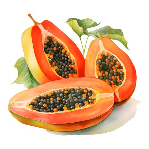 Papaya Illustration, Papaya Drawing, Papaya Images, Papaya Fruits, Scrapbook Images, Fruits Images, Printable Image, Papaya, Png Images