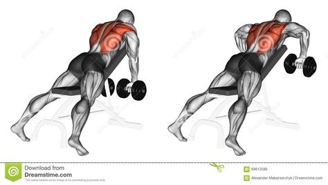 Exercising. Incline Bench Two Arm Dumbbell Row - Download From Over 62 Million High Quality Stock Photos, Images, Vectors. Sign up for FREE today. Image: 68612586 Body Weight Workout Men, Dumbbell Leg Workout, Best Inner Thigh Workout, Big Biceps Workout, Dumbbell Row, Best Dumbbell Exercises, Good Back Workouts, Sixpack Workout, Gym Poster