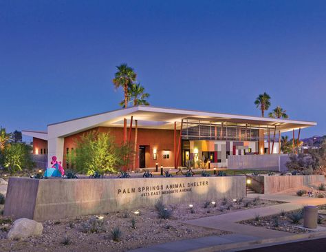 Palm Springs Animal Care Facility / Swatt | Miers Architects Animal Shelter Architecture, Shelter Architecture, Palm Springs Landscaping, Hospital Floor Plan, Mid Century Palm Springs, Shelter Design, Spring Animals, Desert Design, Public Architecture