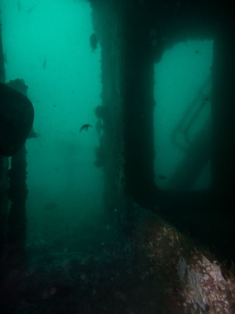 Shipwreck Aesthetic Dark, Deep Sea Scary, Scary Ocean Pictures, Spooky Ocean Aesthetic, Creepy Sea Aesthetic, Sea Horror Aesthetic, Dark Underwater Aesthetic, Creepy Aquarium, North Sea Aesthetic