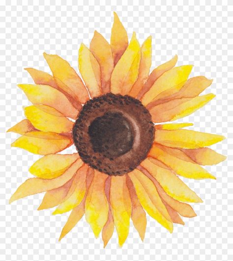 Sunflower Vector, Sunflower Png Free, Sunflower Images Clip Art, Sunflower Powerpoint Background, Sunflowers Transparent Background, Flower Png Images, Diy Anniversary Gift, Sunflower Clipart, Diy Anniversary