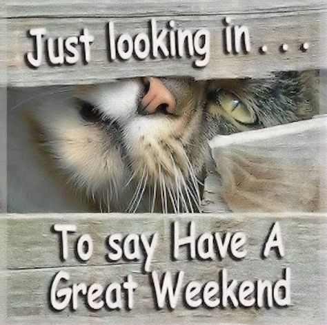 Have a great weekend quotes cute quote weekend days of the week weekend quotes happy weekend Humour, Great Weekend Quotes, Happy Weekend Images, Happy Saturday Quotes, Weekend Greetings, Weekend Images, Saturday Quotes, Arte Gif, Daily Greetings