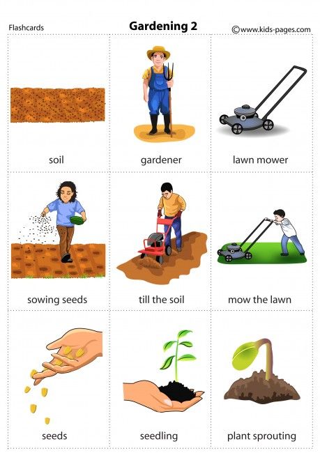 Gardening 2 flashcard Verbs For Kids, Garden Objects, Animals Name In English, English Conversation Learning, Sowing Seeds, Better English, Learning English For Kids, English Learning Spoken, English Worksheets For Kids