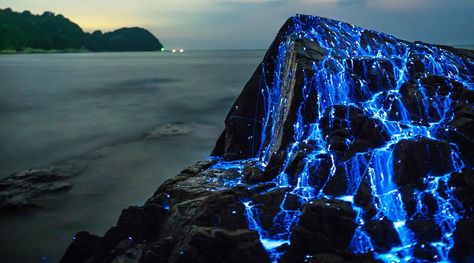 Airport Entrance, Mountain Lighting, Bioluminescent Plankton, Projection Art, Dark Ethereal, Fruit Sketch, Wood Elves, Okayama Japan, Blue Slime