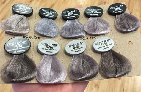 @kenra Guy Tang Favorites Silver Metallics Shades Of Grey Hair, Guy Tang Hair, Kenra Color, Guy Tang, Hair Color Chart, Silver Hair Color, Silver Grey Hair, Trendy Hair Color, Grey Hair Color