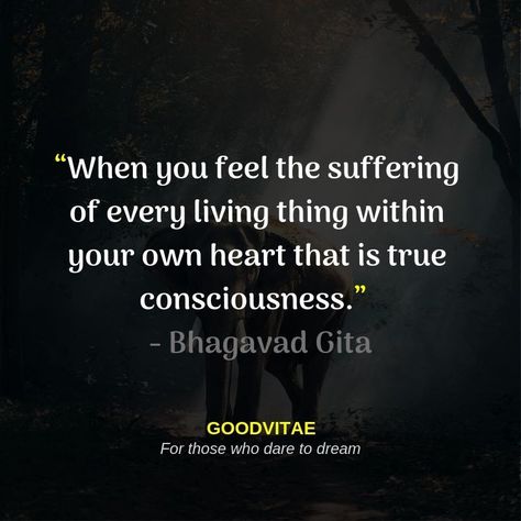 Bhagavath Geetha, Cosmic Quotes, Hinduism Quotes, Geeta Quotes, Inpirational Quotes, Radha Krishna Quotes, Gita Quotes, Radha Krishna Love Quotes, Powerful Motivational Quotes