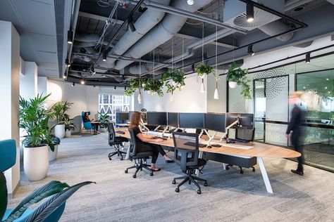 University Office Design, Agile Office Design, Agile Working Office Interior Design, Office Environment Design, Nordic Office Design, Collaboration Spaces In Offices, University Common Space, Biophilia Design, Japan Office