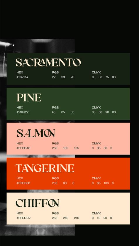 Green, pink, orange, ivory color palette for branding of speakeasy bar Bar Color Palette, Mises En Page Design Graphique, Visuell Identitet, Speakeasy Bar, Logo Instagram, Inspiration Logo Design, Pantone Colour Palettes, Color Design Inspiration, Hex Color Palette