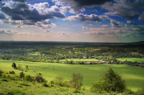 Looking over the North Downs from Box Hill, Surrey, England Garden Seats, Benches Outdoor, Box Hill, Literary Travel, Surrey England, Visiting England, Wooden Garden, 45 Years, British Isles