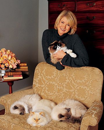 Martha Stewart Celebrities With Cats, Cleaning Pet Hair, Himalayan Cat, Pet Hair Removal, Pet Stains, Cat People, Cat Person, Crazy Cat Lady, Beautiful Cats