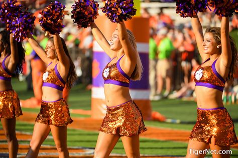 Clemson Rally Cats Clemson Cheerleaders, College Dance, Cheerleader Outfit, College Cheer, Funny Morning Pictures, Cheerleading Outfits, Alpha Chi, Clemson Tigers, A Wallpaper