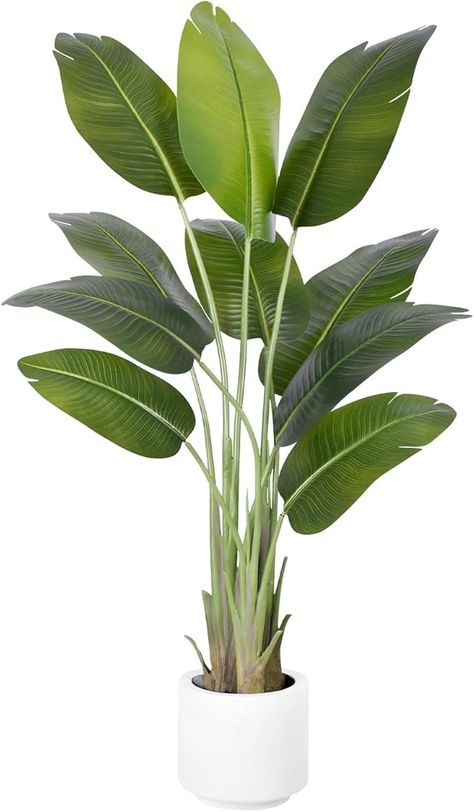 Amazon.com: ZEEOZE Artificial Bird of Paradise Plant 5Ft Tall Fake Tropical Palm Tree Large Fake Plants with 10 Silk Banana Leaves Faux Plant Indoor Decor Trees with White Pot for Home Bedroom Living Room Office : Home & Kitchen Palm Plant Indoor, Plant Indoor Decor, Large Fake Plants, Banana Leaf Decor, Artificial Indoor Trees, Birds Of Paradise Plant, Tall Indoor Plants, French Country Rustic, Bird Of Paradise Plant