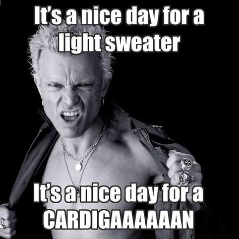 Gotta love Wisconsin and Illinois weather in the winter!...It's a nice day for a light sweater. It's a nice day for a cardigan Music Meme...Since we got a nice heat wave, you should come out to karaoke at Route 41 Roadhouse with DJ Magic Mike tonight! #billyidol #whitewedding #lightsweater #cardigan #karaoke #dj #music #saturdaynight #saturdayfun #karaokenight #musicdj #djnight #karaokedj #nightout #illinois #route41roadhouse #Wadsworth #luckyentertainment #luckydjs #saturday #saturdaynightkarao Misheard Lyrics, Funny Troll, I Respect You, Billy Idol, Morning Humor, Light Sweater, Bones Funny, I Laughed, Funny Pictures