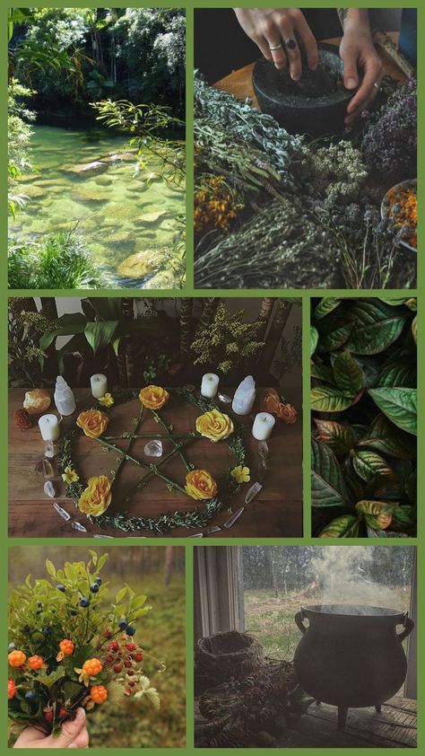 Green Witchcraft Aesthetic, Hedge Witchcraft, Green Witch Aesthetic, Witchcraft Aesthetic, Witchy Cottagecore, Nature Witch, Witch Room, Witch Core, Green Witchcraft