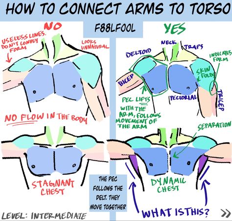 Tutorial Sobre Arte Digital, Anatomy Tutorial, Art Advice, Human Anatomy Drawing, Body Drawing Tutorial, Human Anatomy Art, Body Reference Drawing, Body Drawing, Anatomy Reference