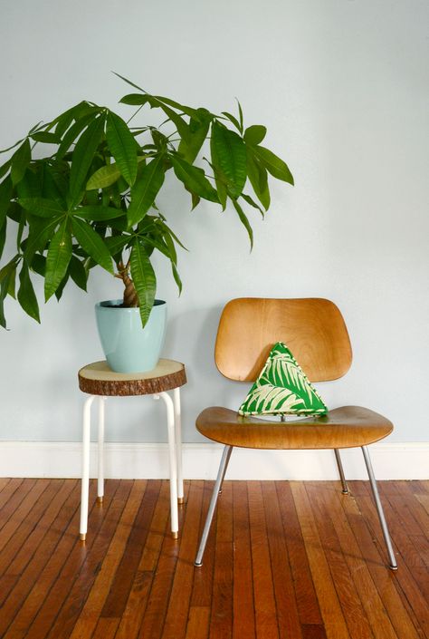 Find out how to turn an IKEA Marius Stool into a lovely plant stand with... Plant Stand Ikea, Ikea Marius, Reclaimed Wood Projects Furniture, Stool Ikea, Ikea Beds, Ikea Plant Stand, Plant Stool, Ikea Hacks Ideas, Ikea Stool