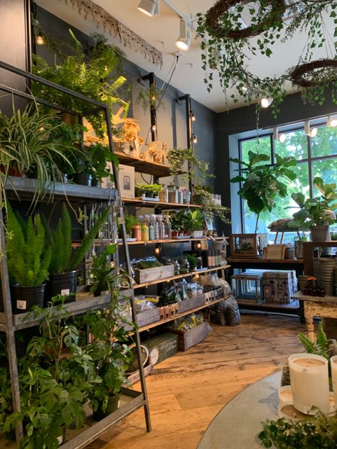 Botanical Shop Interior, Retail Store Room Divider, Plant Shop Window Display, Plant Store Interior Design, Industrial Flower Shop, Retail Plant Display, Plant Shop Interior Design, Boutique Plant Shop, Opening A Plant Shop