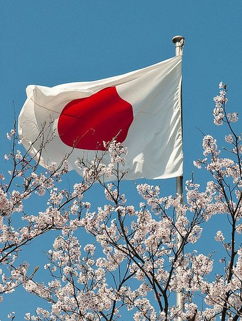 Photo Japon, Japanese Flag, Japan Flag, Japan Culture, Japan Aesthetic, Aesthetic Japan, Visit Japan, Japan Photo, Japanese Aesthetic