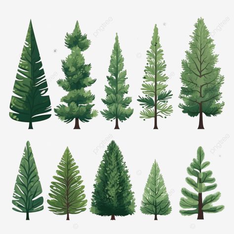 christmas trees in flat style isolated pine spruce fir vector illustration nature forest set png Nature, Forest Illustration Vector, Tree Flat Illustration, Pine Illustration, Pine Tree Illustration, Tree Doodle, Illustration Nature, Tree Clipart, Spruce Tree