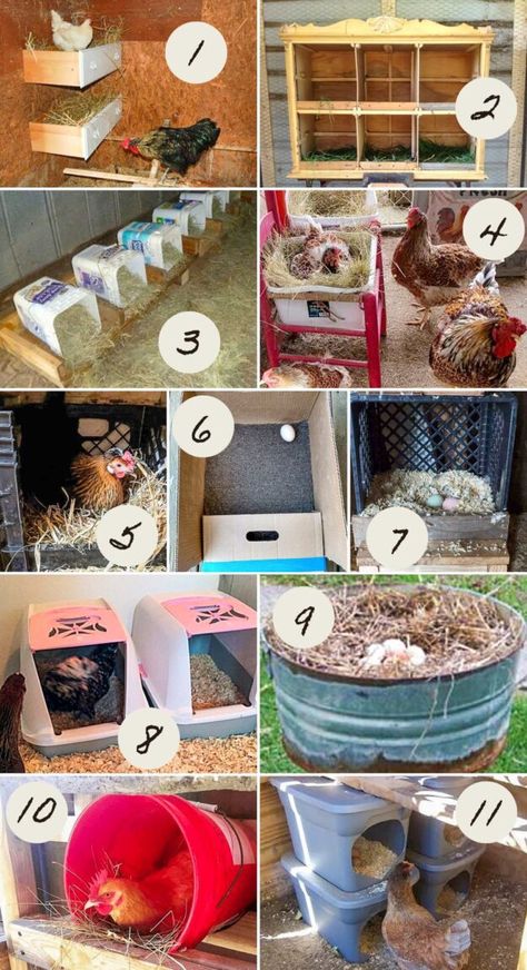 Chicken nest boxes don't have to be expensive ...try these easy and inexpensive DIY nest boxes that can be put in place in minutes. Diy Chicken Nest Box Ideas, Duck Roosting Boxes, How To Make Chicken Nesting Boxes, Diy Chicken Roosting Boxes, Chicken Nest Ideas, Chickens Nesting Boxes, Nest Box Ideas For Chickens, Chicken Coop Boxes Diy, Quick Easy Chicken Coop Diy