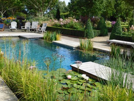 Bbq Garden, Swimming Pool Pond, Outdoor Gardens Landscaping, Living Pool, Natural Swimming Ponds, Swimming Pool Architecture, Pool Landscape Design, Garden Swimming Pool, Swimming Pond